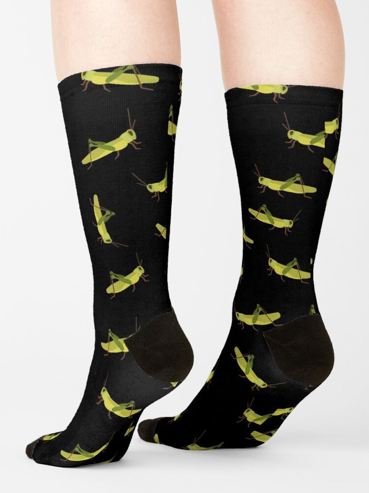 Grasshopper cricket insect. Grasshopper bug. Socks