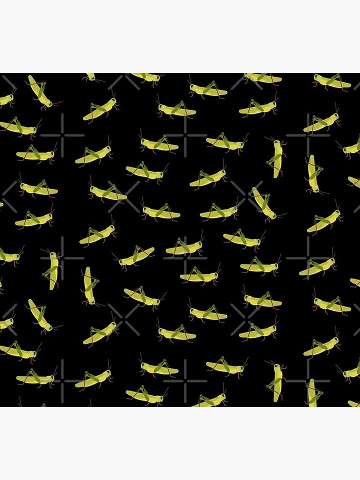 Grasshopper cricket insect. Grasshopper bug. Socks