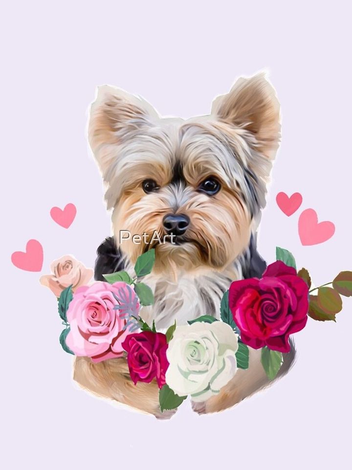 Cute Yorkie flowers iPhone Case