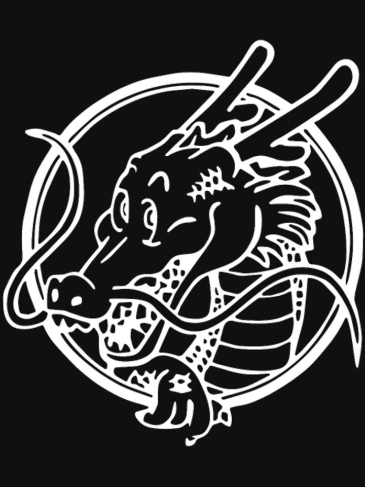 Dragon Ball Z Logo Anime Essential T-Shirt