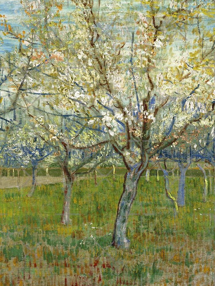 Van Gogh "Orchard with Blossoming Apricot Trees" 1888 Tank Top