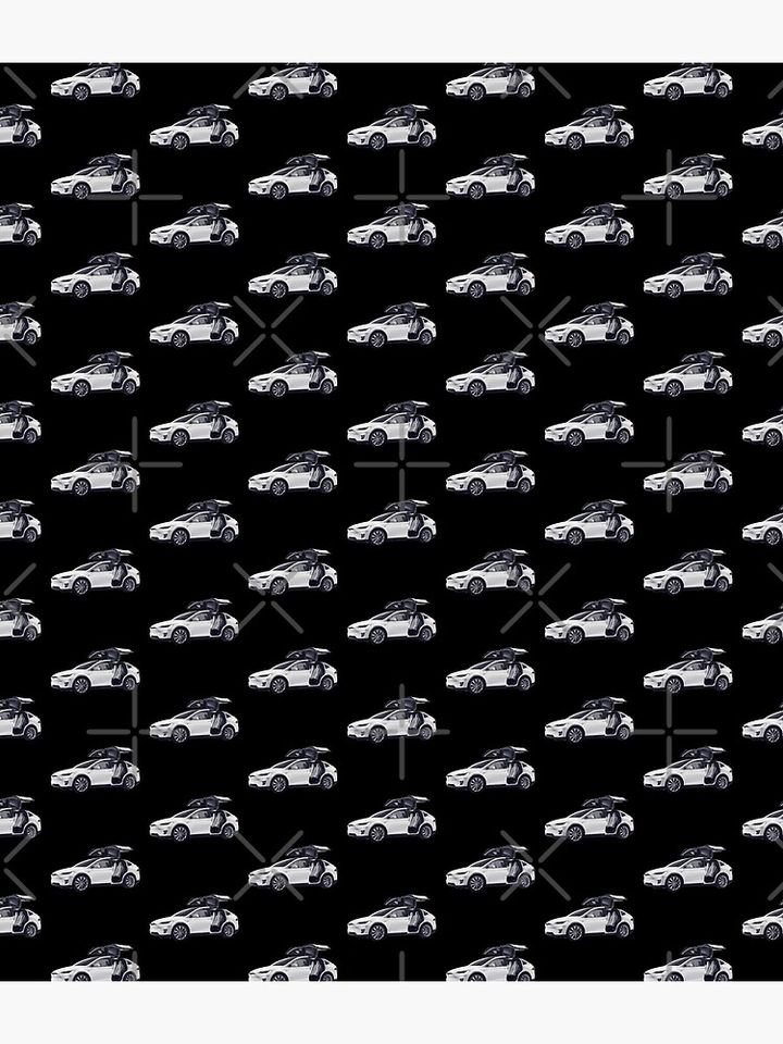 Model X Tesla Backpack