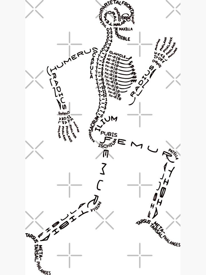 Running Skeleton Premium Matte Vertical Poster
