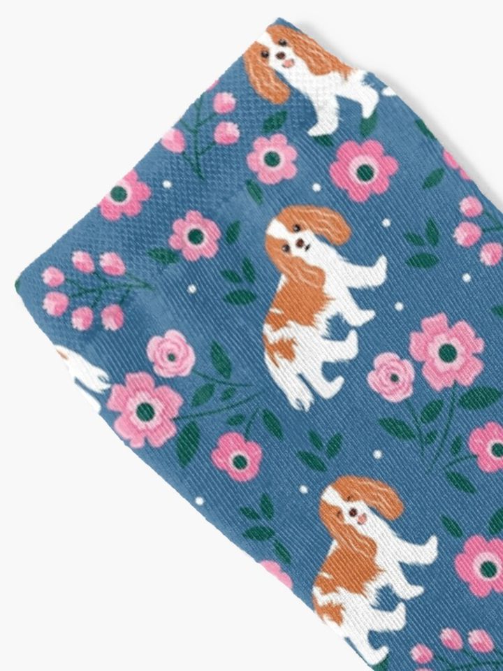 Blenheim Cavalier King Charles Spaniel Playing at Night in a Garden Socks