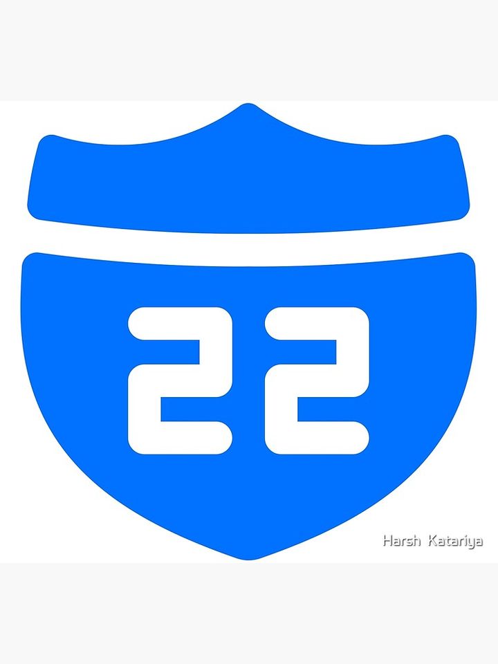 Bad bunny dodger  Socks