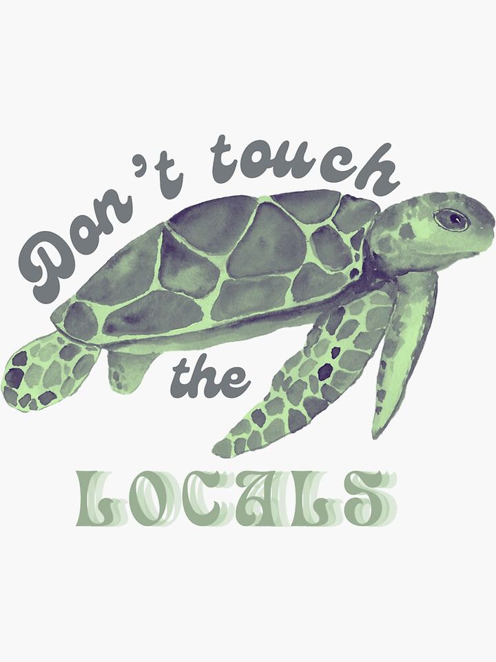 Local turtle Sticker