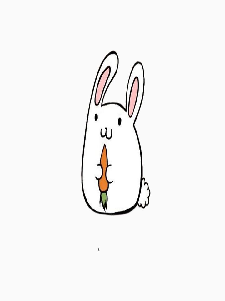 Carrot Rabbit Classic T-Shirt for Men and Women