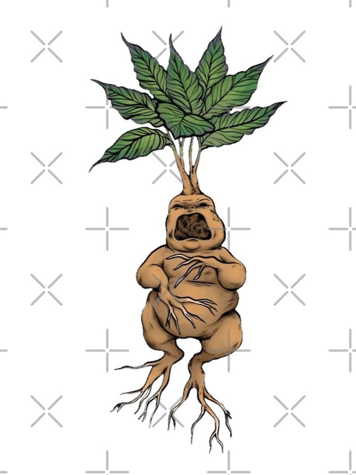Root Monster Kids T-Shirt