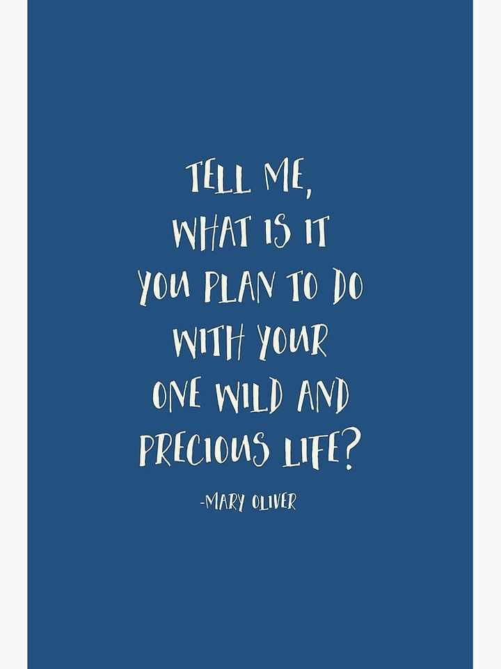 Tell Me What Is It You Plan To Do With Your One Wild And Precious Life, Mary Oliver Quote, Inspirational Premium Matte Vertical Poster