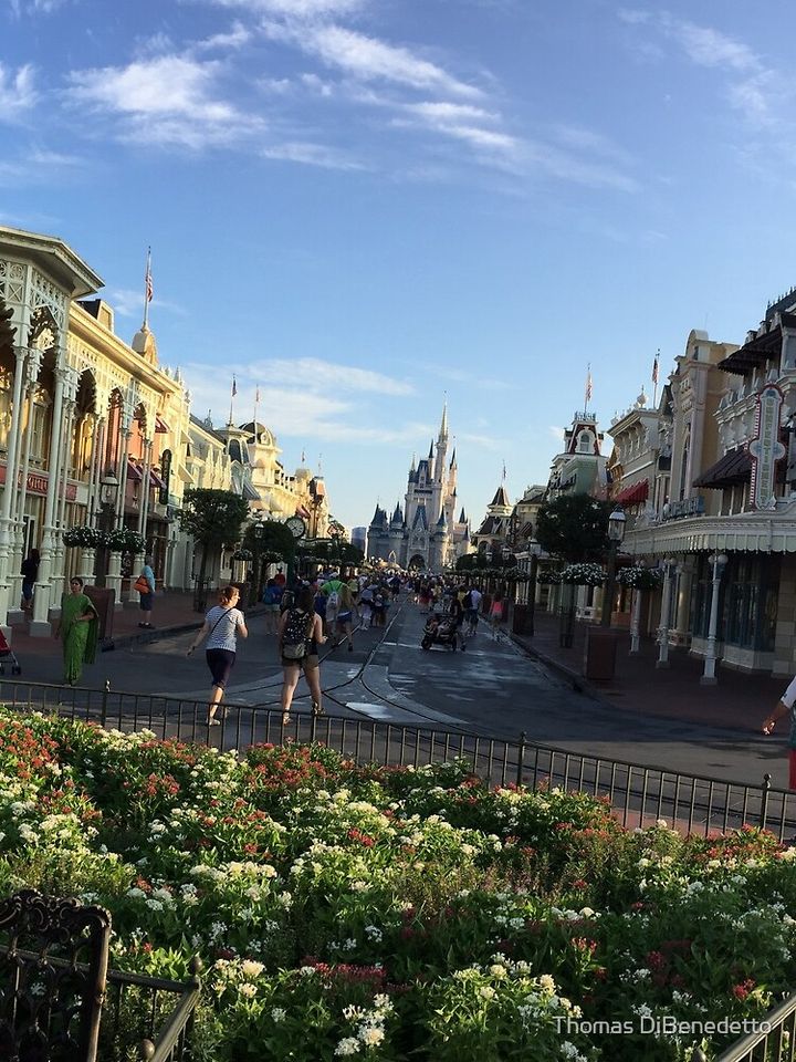 Main street Mini Skirt