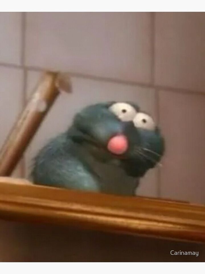 Disney Ratatouille Chef Kitchen Apron