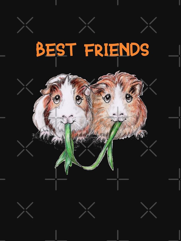 Best friends guinea pigs Classic T-Shirt