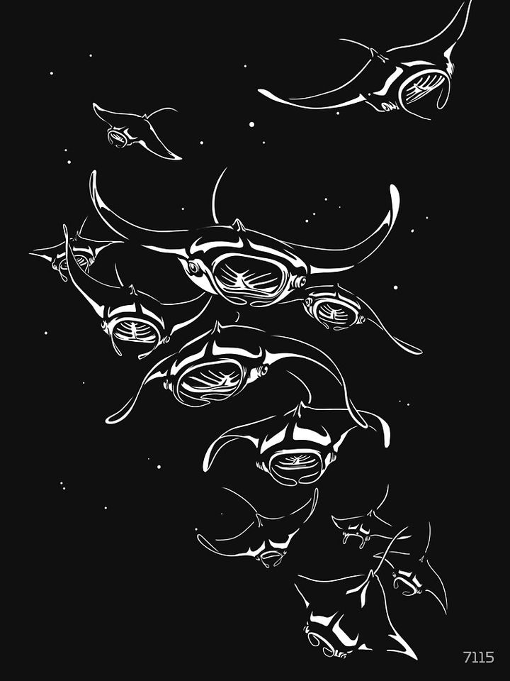 Manta Rays landing Hoodie