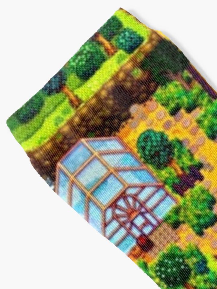 Stardew valley map Socks