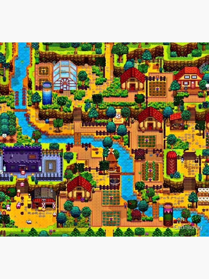 Stardew valley map Socks