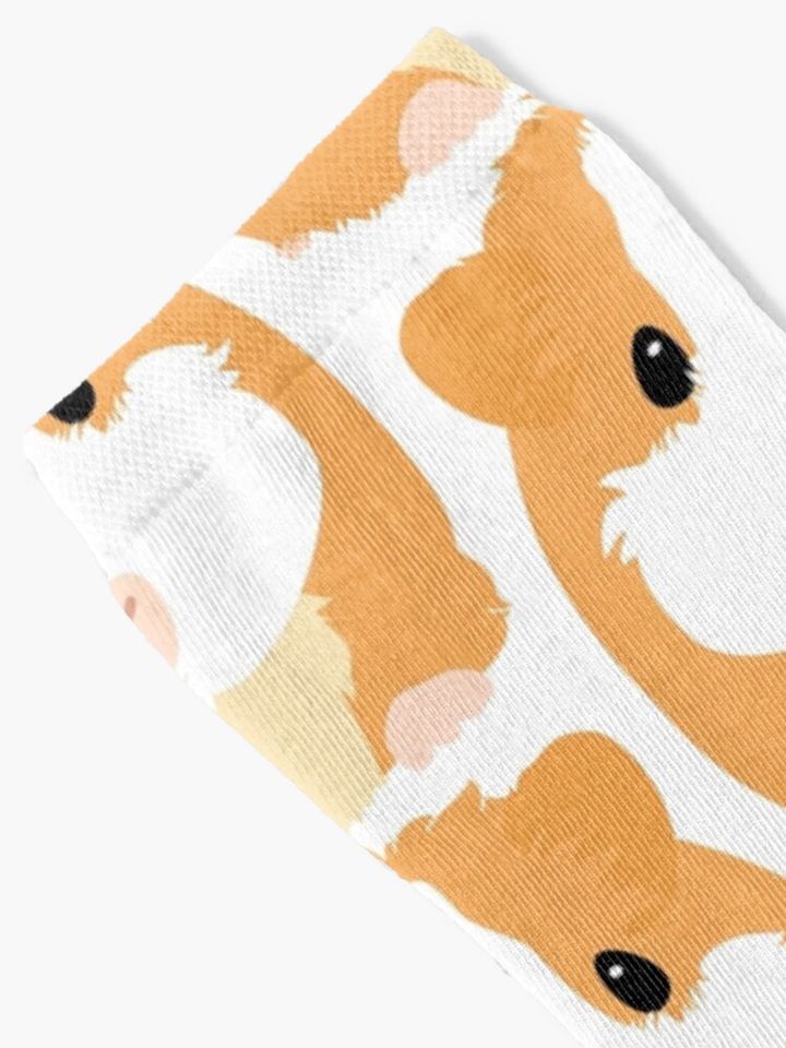 Guinea Pig - White Socks