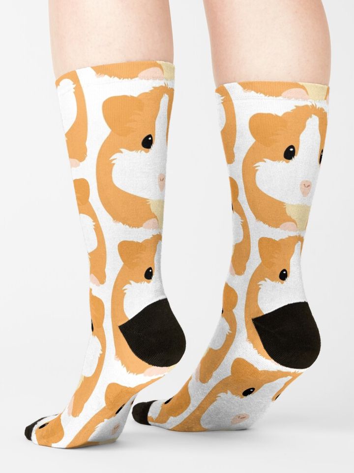 Guinea Pig - White Socks