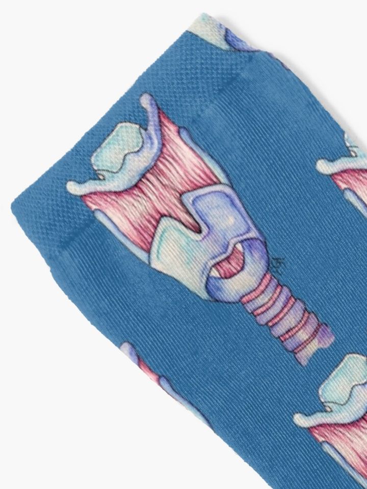 Larynx Anatomy Socks