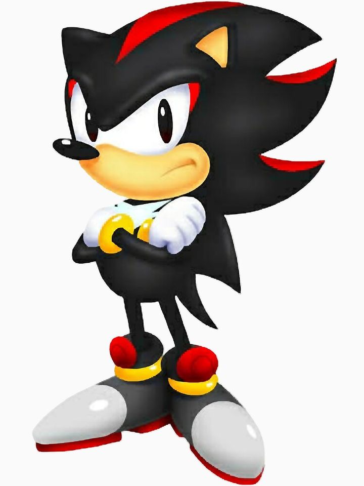 Shadow the hedgehog T-Shirt Essential T-Shirt