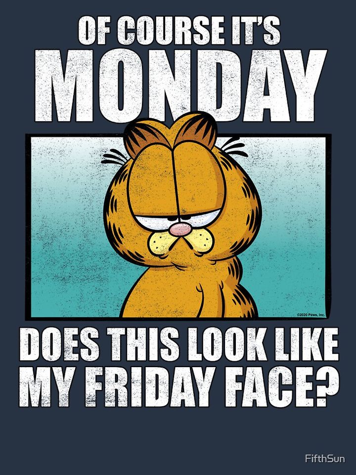Garfield Of Course It's Monday...Friday Face  Premium Hoodie
