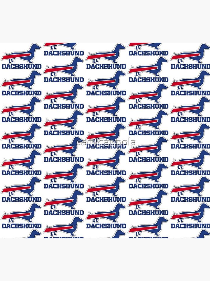 Buffalo Bills Dachshund Socks, Gift For Fan