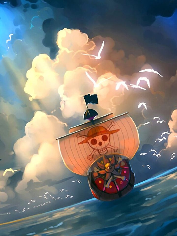 One Piece iPhone Case