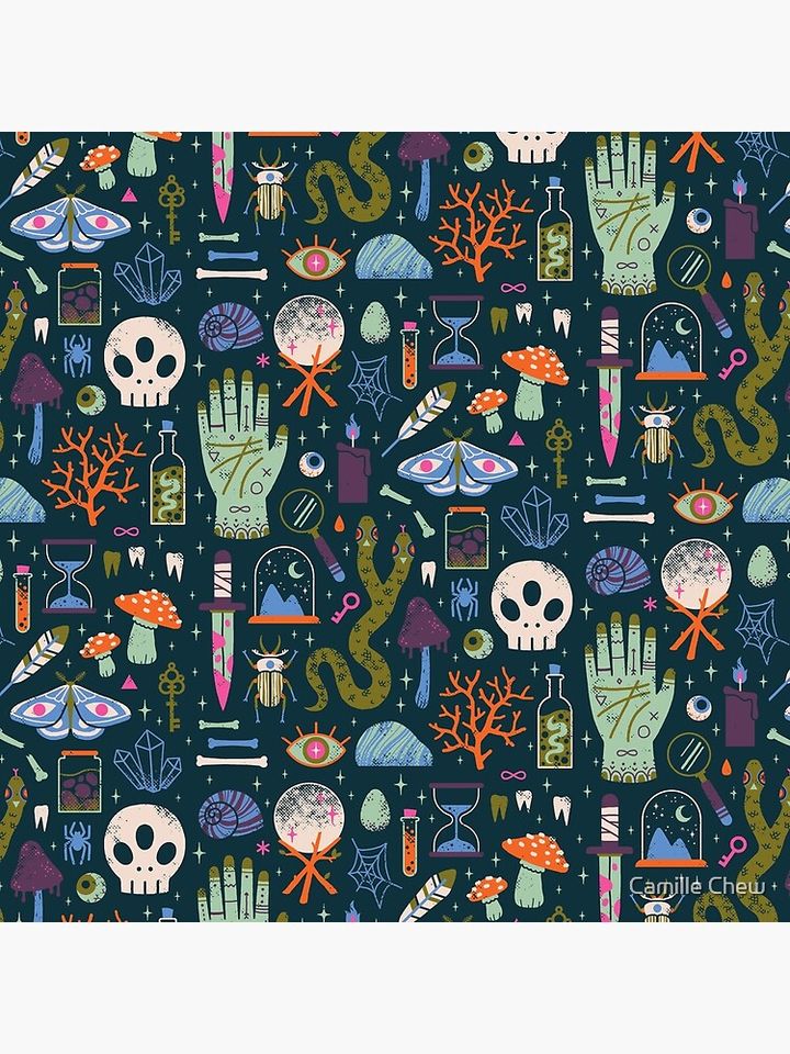 Curiosities Pillow