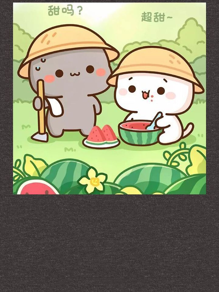 Bubu And Dudu Go Picnic Eat Watermelon Pullover Sweatshirt