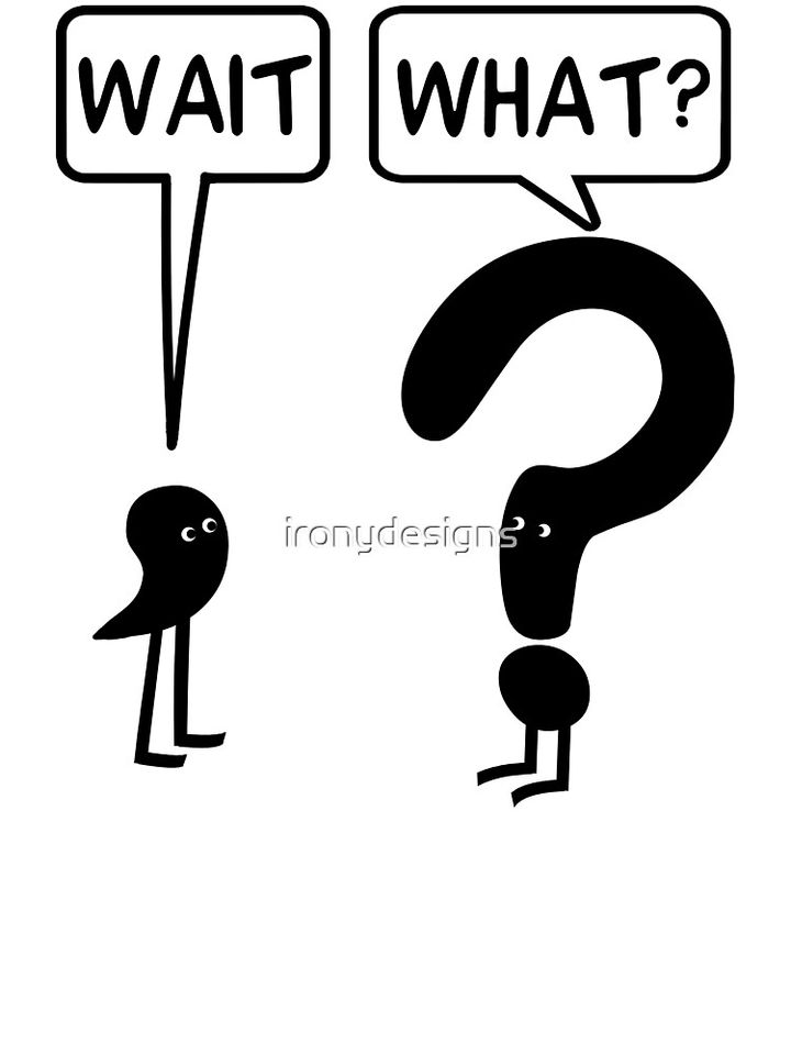 Wait, What? Kids T-Shirt