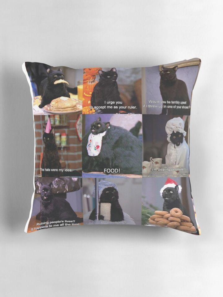 Musings of Salem Pillow