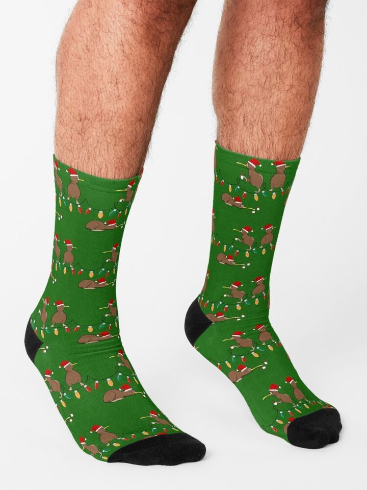Kiwi Christmas Socks