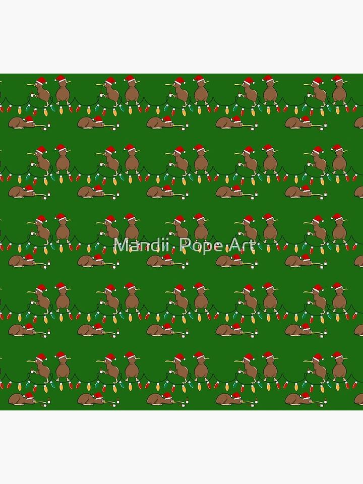 Kiwi Christmas Socks