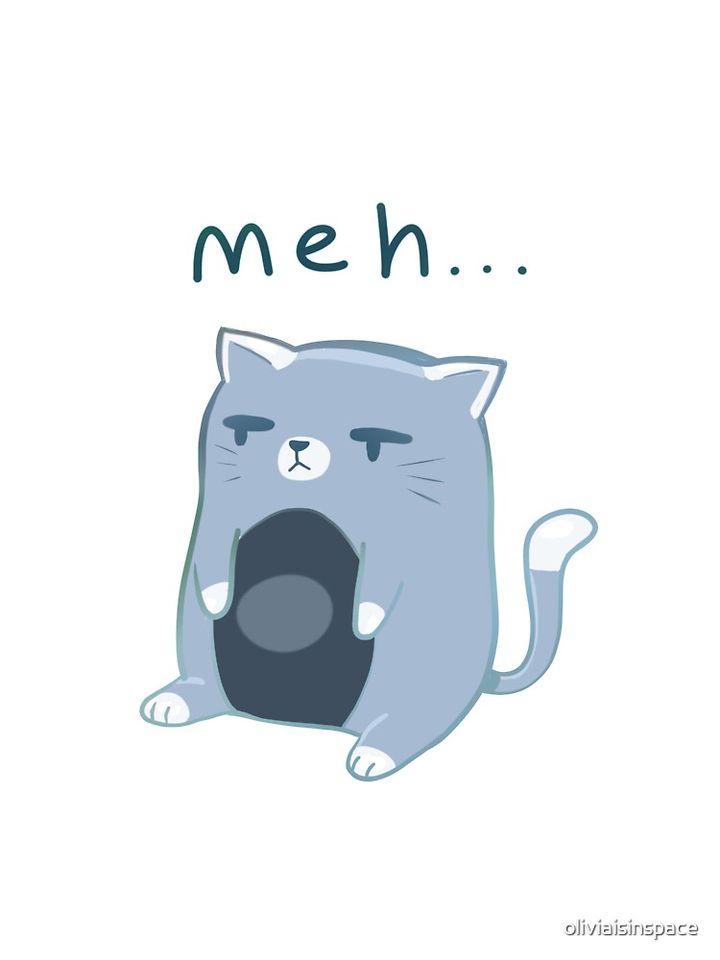 Meh Cat Gray Oversized T-Shirt