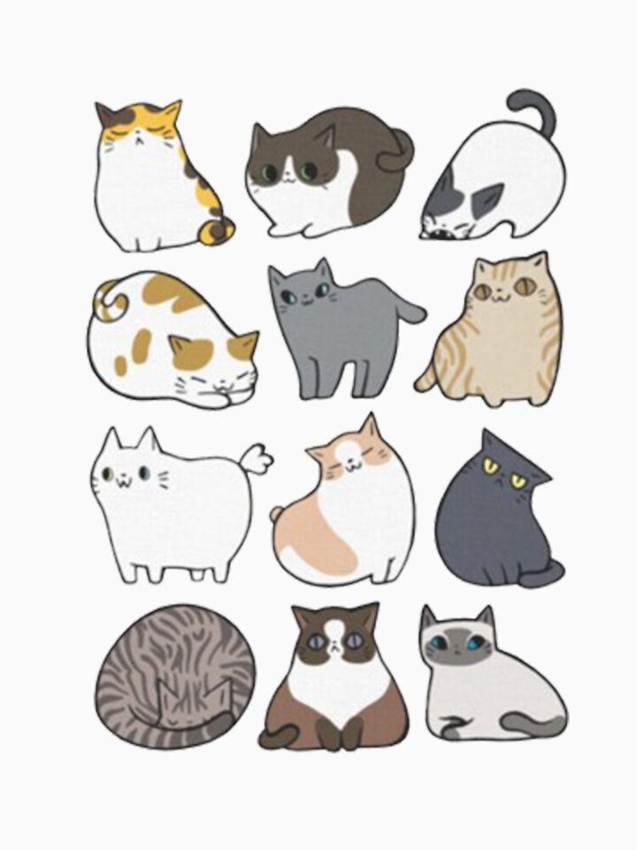 All Cat Classic T-Shirt for Men and Women