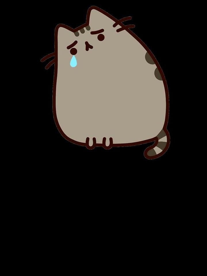 cat crying meme Oversized T-Shirt