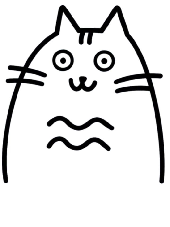 The Silly Kitty Oversized T-Shirt for Women and Men
