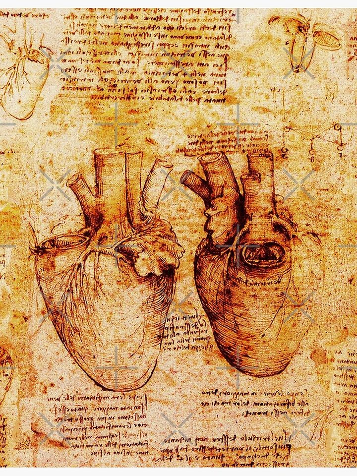 Heart And Its Blood Vessels. Leonardo Da Vinci,Anatomic Study 2,Brown Premium Matte Vertical Poster