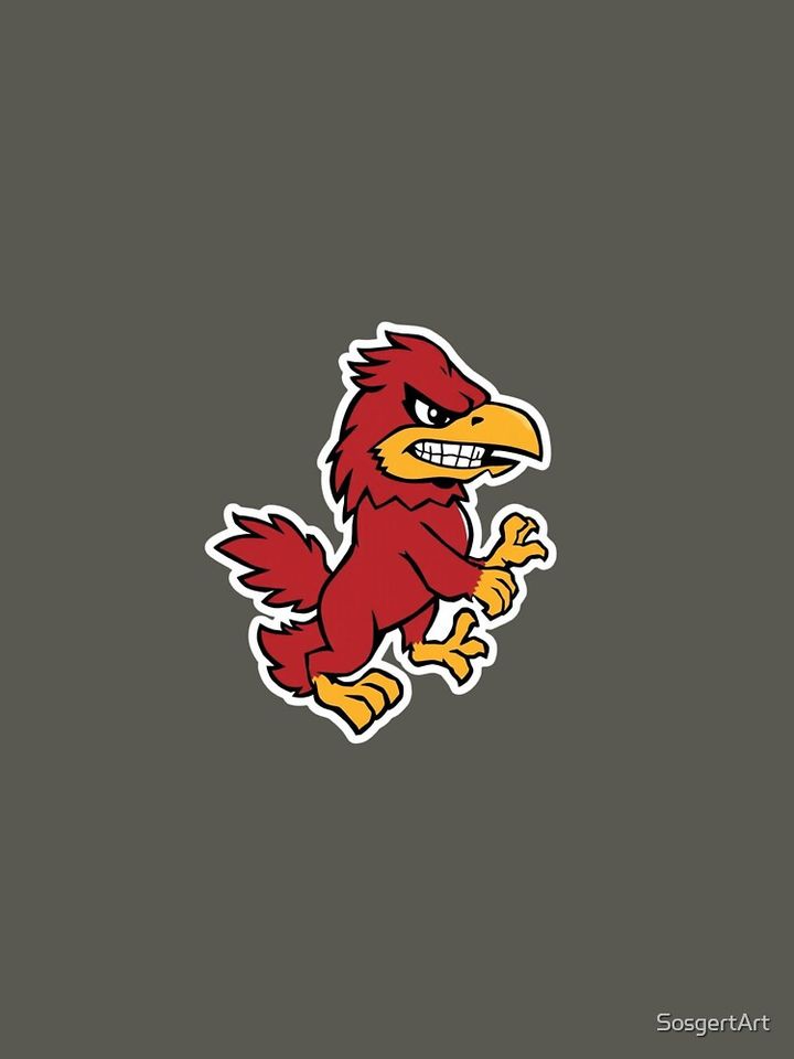 Gamecock  T-Shirt, Gift for Fan