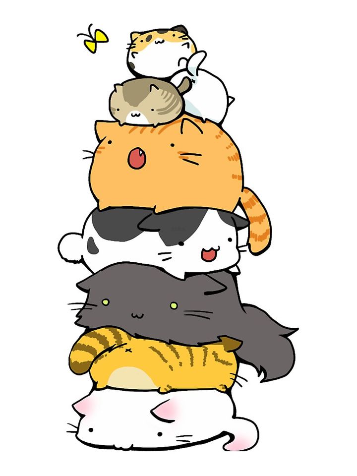 Pusheen Cat Oversized T-Shirt for Women and Men