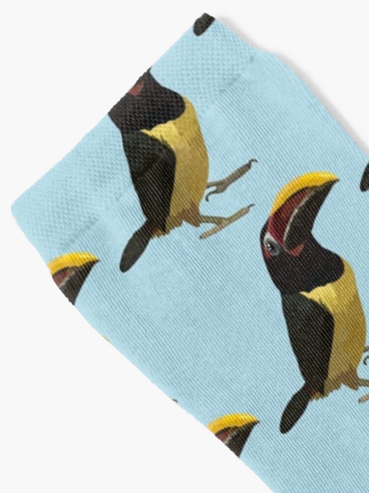 C is for Custom Bird  Socks
