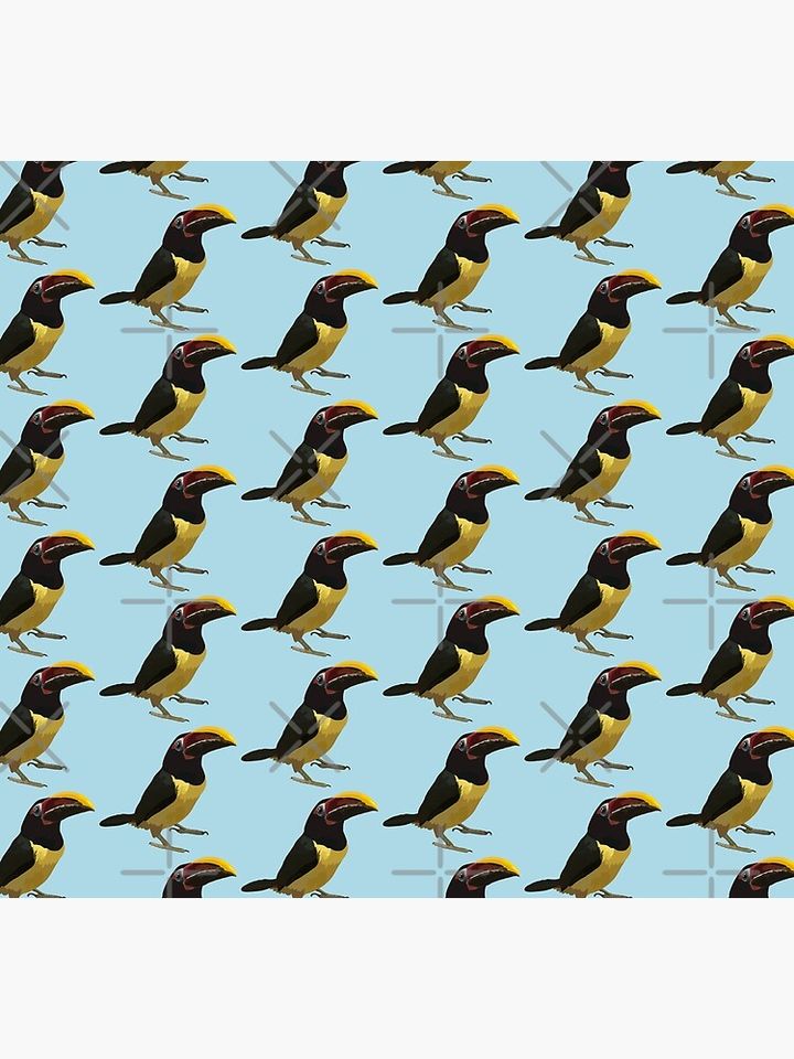 C is for Custom Bird  Socks