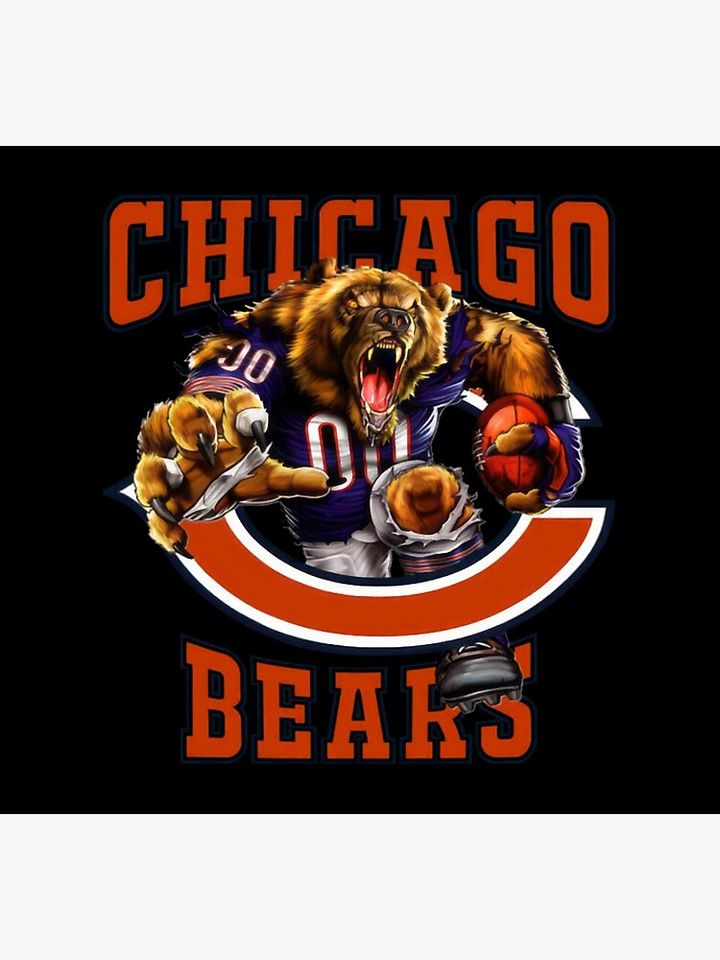 Chicago Bears Socks, Gift For Fan