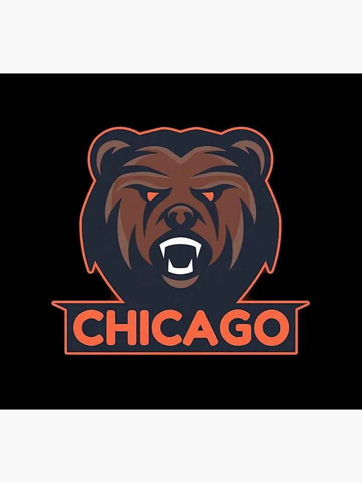 Chicago Bears Socks, Gift For Fan