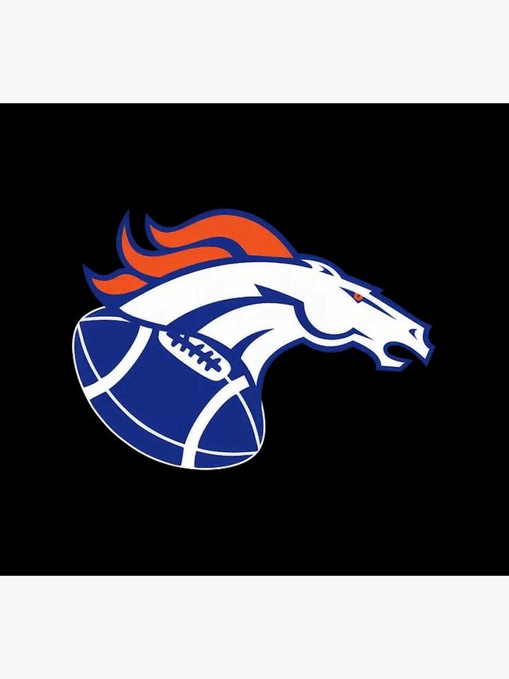 Denver Broncos Socks, Gift For Fan
