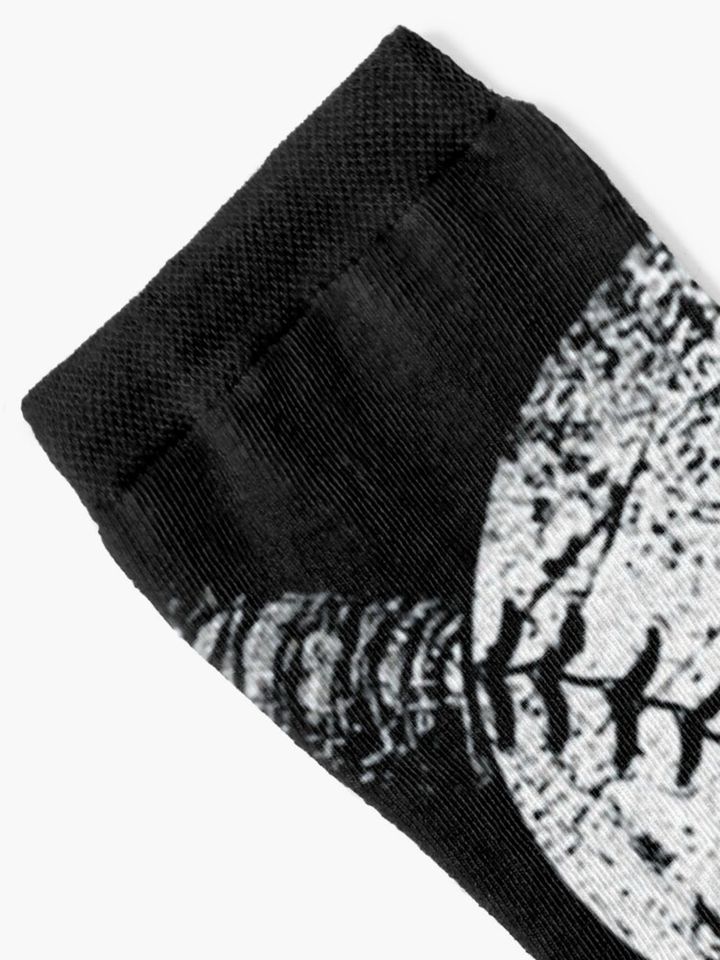 Baseball | Los Angeles Dodgers Socks