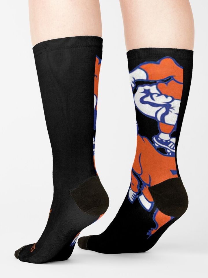Denver Broncos Socks, Gift For Fan
