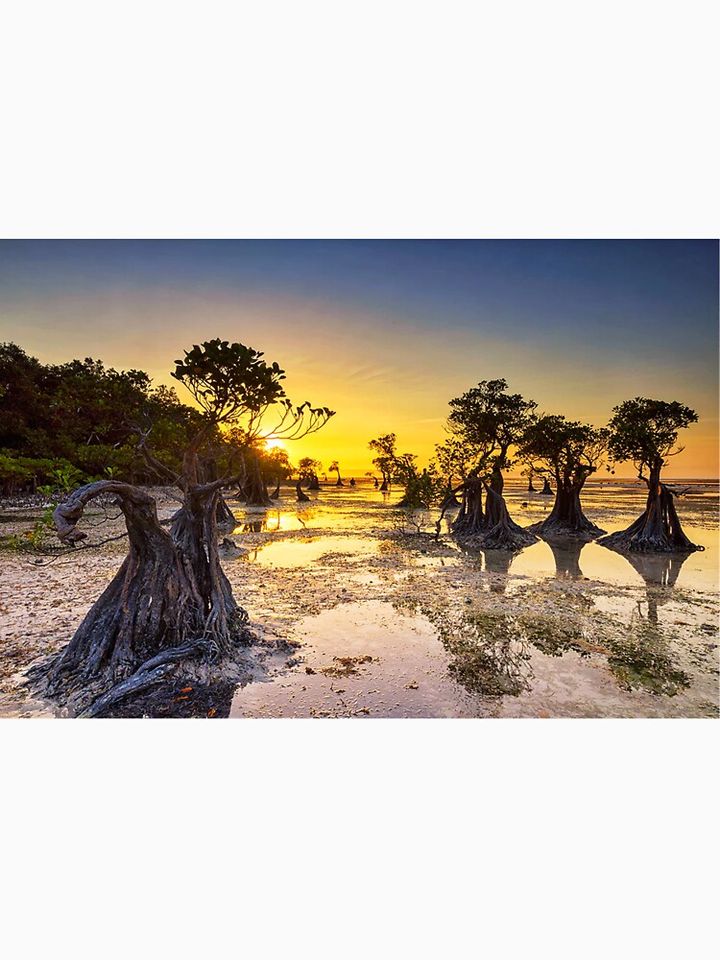 Luka Doncic Classic T-Shirt