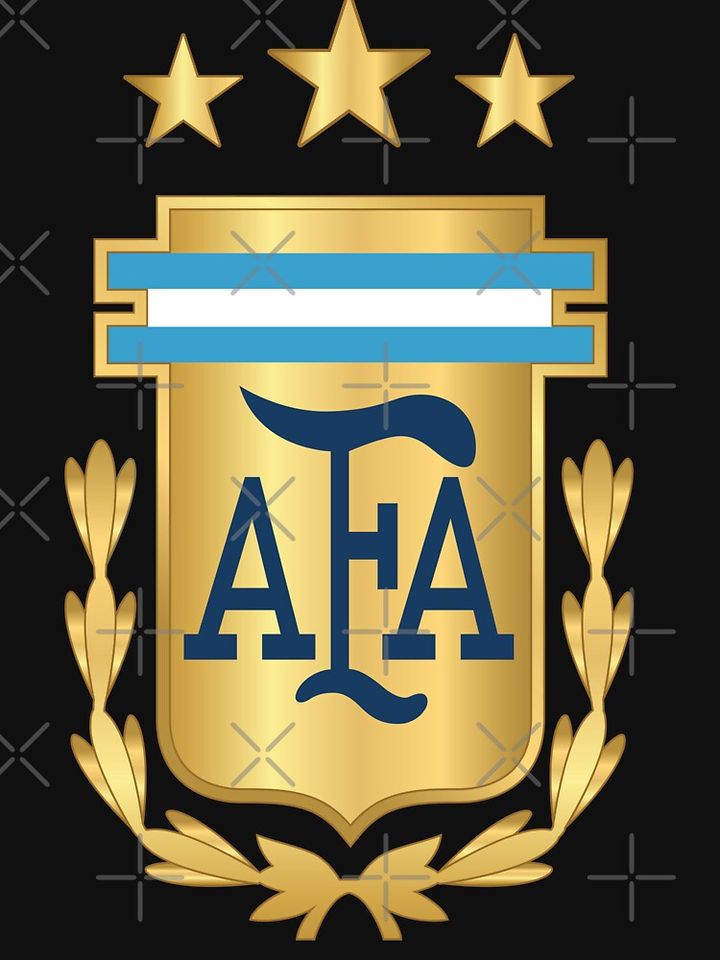 Argentina AFA  Sweatshirt, Lionel Messi Sweatshirt, Messi Fan Sweater