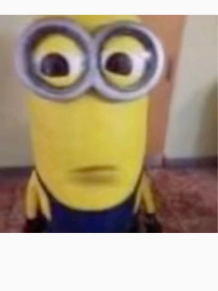 Minion meme Classic  Essential T-Shirt