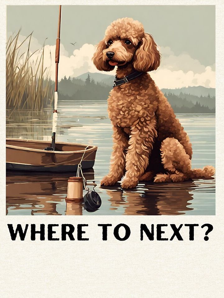 Where to next? Fishing red Poodle Hoodie, Travel Dog